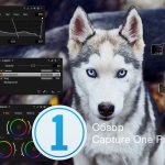 Capture one что это за программа