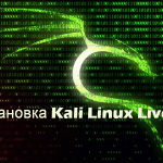 Kali linux persistence не сохраняет