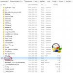 Internet explorer где лежит