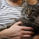 Gps трекер для животных отзывы