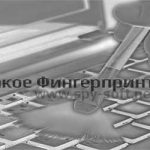 Fingerprint extension service что это