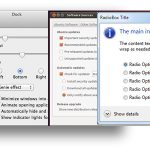 Input type radio label