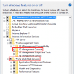 Asp net core iis