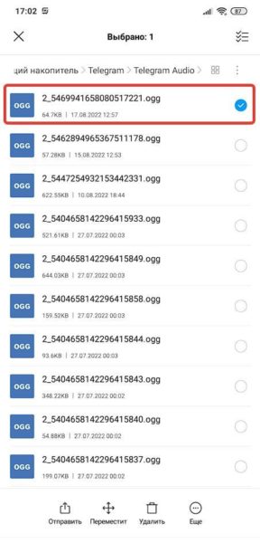 голосовое сообщение в папке